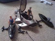 Dolphin's  Personal Stingray