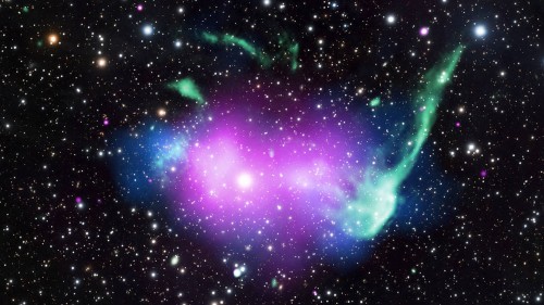 purple.jpg